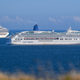 Image for article titled Don't Go On a Fucking Cruise During a Pandemic